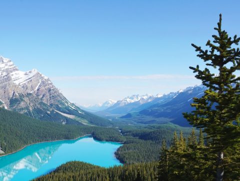 Pour l’IA, la destination touristique la plus attractive serait canadienne !
